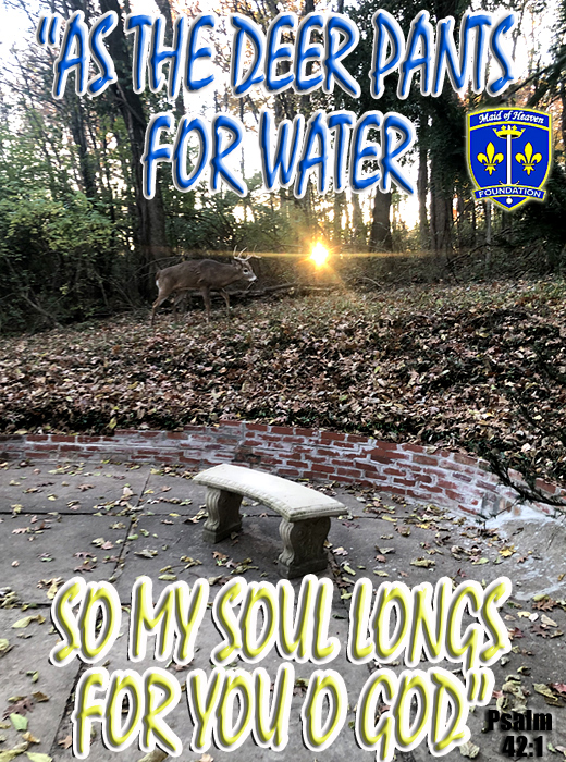 Psalm 42:1 Deer Pants for Water