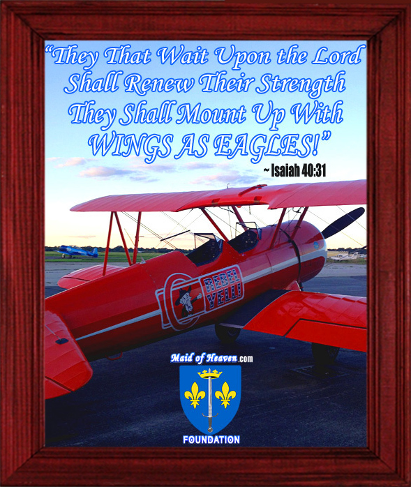 The Rebel Yell! Airplane Framed Picture